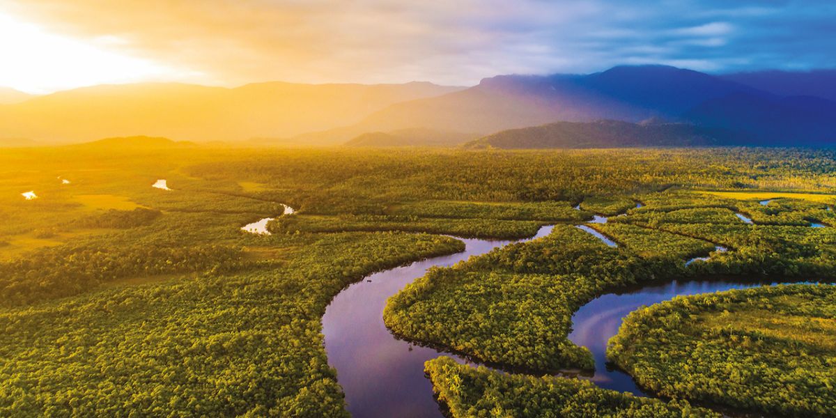 Amazon River