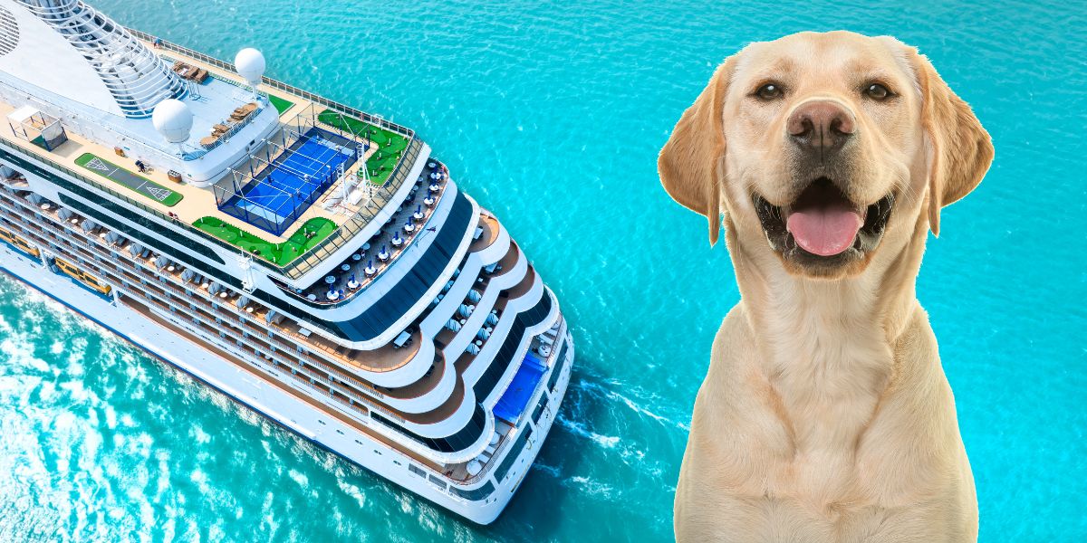 How To Take Your Emotional Support Dog On A Cruise