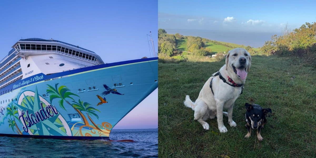 Cruise Tails cruise for dogs